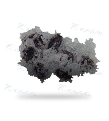 Sponge-Jet Silver 16 SpongeMedia