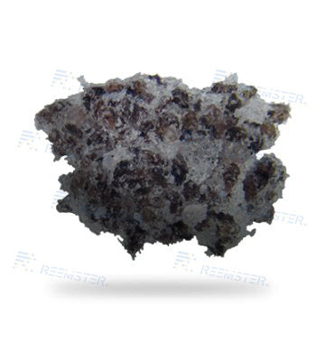 Sponge-Jet Silver 60 SpongeMedia