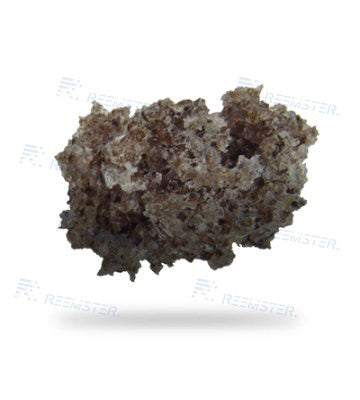 Sponge-Jet Silver 80 SpongeMedia