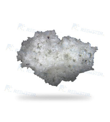 Sponge-Jet White SPOCC SpongeMedia